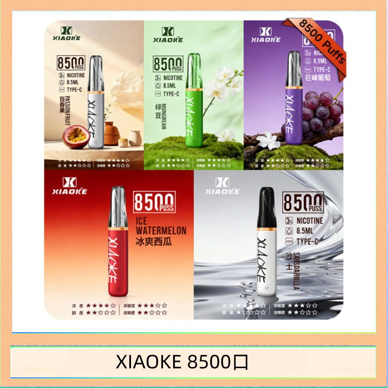 XIAOKE 8500口 梟客XIAOKE一次性電子菸拋棄式8500口